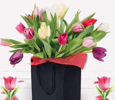 Tulip explosion - 18 or 24 stunning tulips hand tied together the foliage delivered in water and a presentation box