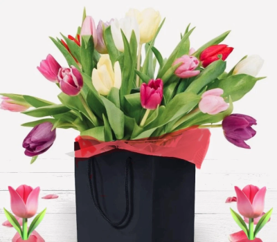 Tulip explosion - 18 or 24 stunning tulips hand tied together the foliage delivered in water and a presentation box
