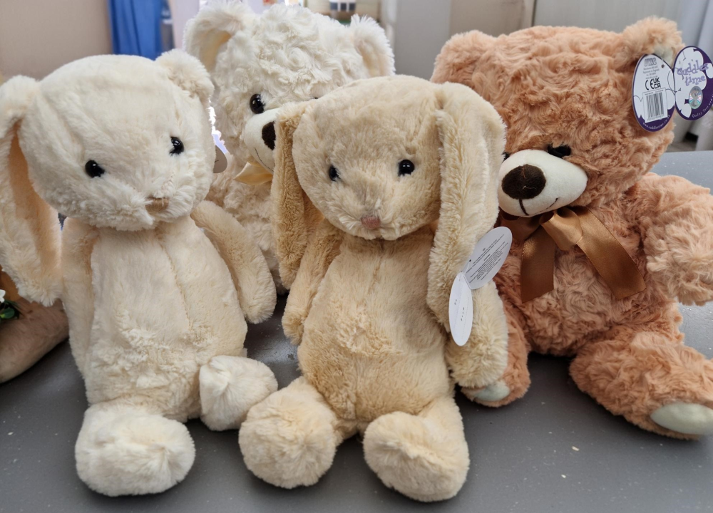 Bears & Rabbits